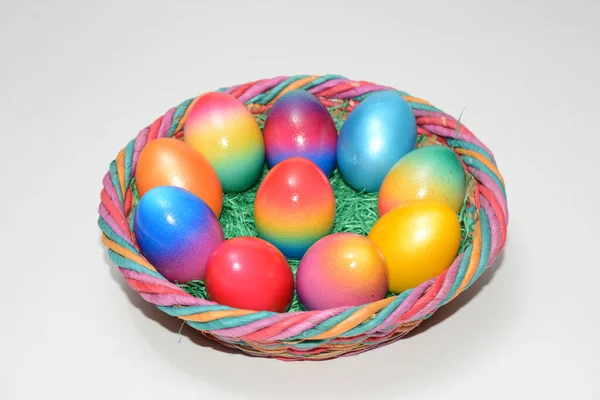 Easter Egg Egg Easter Easter Easter Nest Blue Red Green — стоковое фото