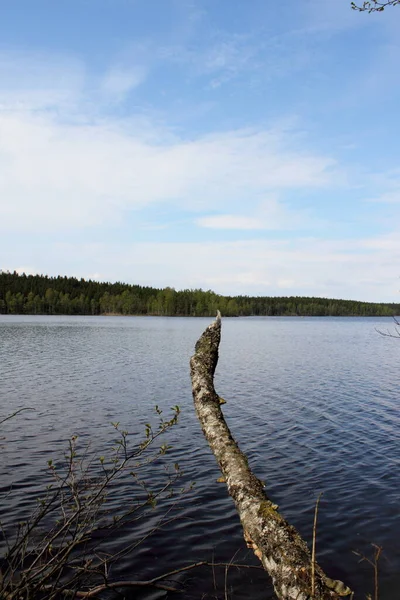 Lac Immeln Dans Sud Suède — Photo