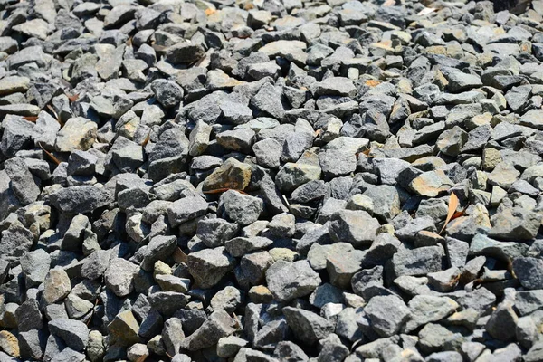 Strandsteine Felsen Und Kieselsteine — Stockfoto