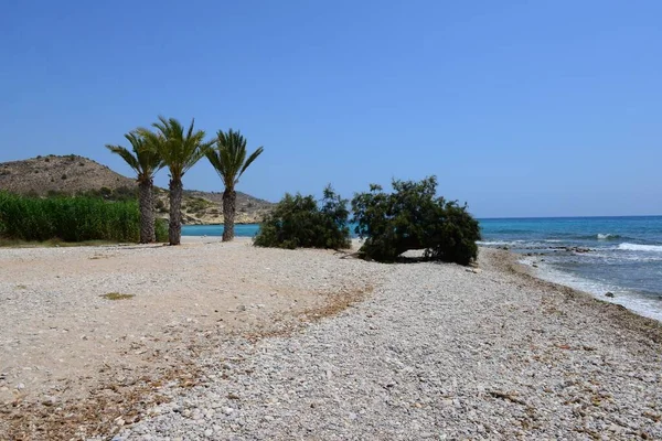 Felsen Und Kieselsteine Tropischen Strand — Stockfoto