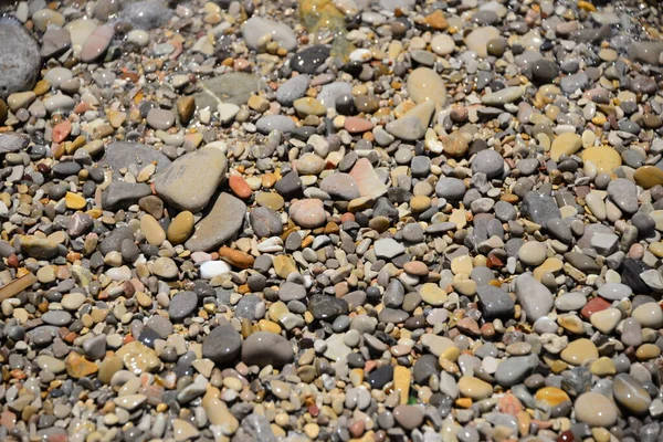Plážové Kameny Skály Oblázky — Stock fotografie