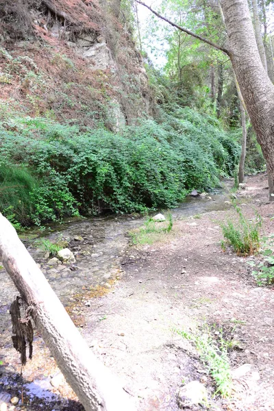 Hermosa Cascada Sobre Fondo Naturaleza — Foto de Stock