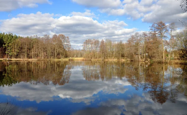 Dam Innsjø Dam Vann Vann Skog Skogsjø Speiling Himmel Sky – stockfoto