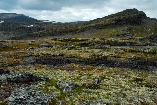 Noruega Sobre Paisagem Natural Fundo — Fotografia de Stock