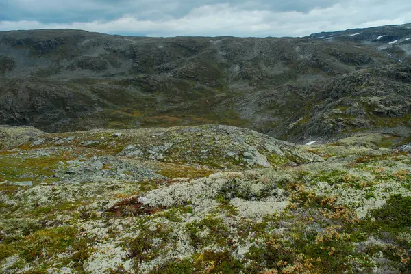 Noruega Sobre Paisagem Natural Fundo — Fotografia de Stock