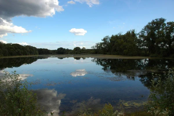 Utmattad Altrheinarm Polder Neupotz Pfalz — Stockfoto