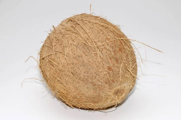 Kokosnuss Nuss Früchte Früchte Lebensmittel Lebensmittel Tropisch Braun — Stockfoto