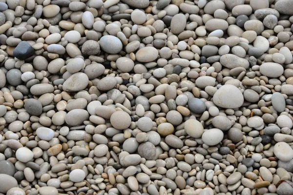 Stenen Het Strand Kleine Rotsen — Stockfoto