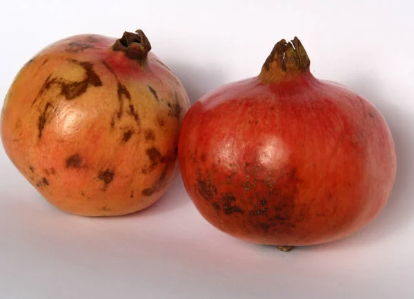 Frische Rote Granatapfelfrüchte Sommerfrüchte — Stockfoto