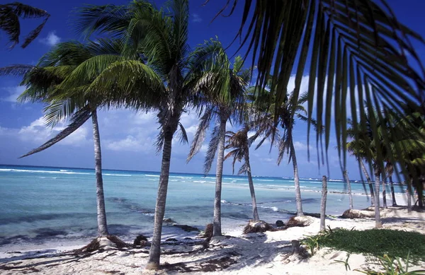 Παραλία Του Κανκούν Στην Επαρχία Γιουκατάν Στο Νότιο Μεξικό — Φωτογραφία Αρχείου