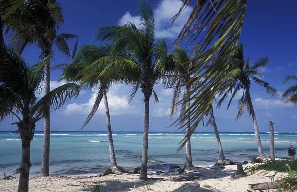Playa Cancún Provincia Yucatán Sur México — Foto de Stock