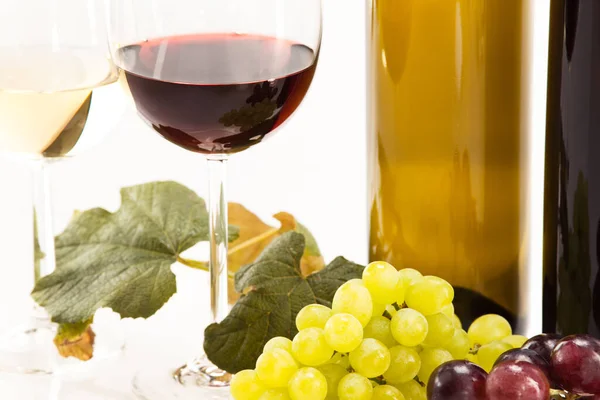 赤ワインと白ワインとブドウとワインボトル — ストック写真