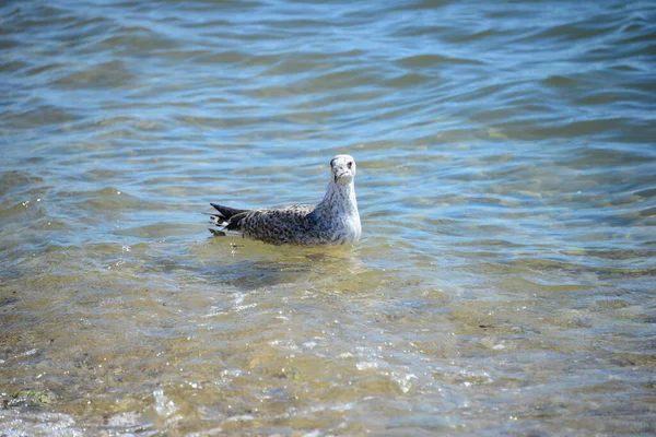 Spagna Paese Sulla Penisola Iberica Europa — Foto Stock