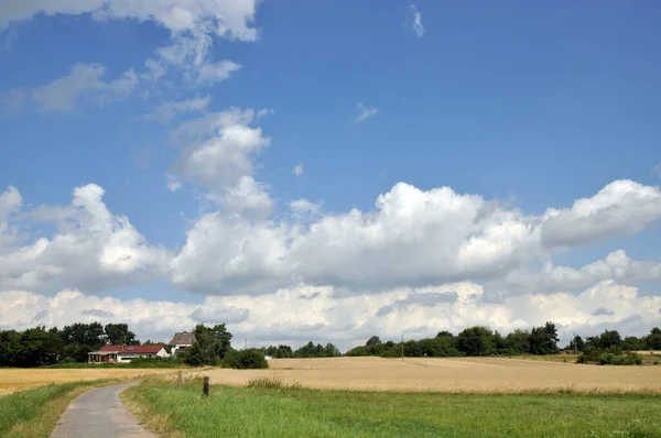 Fields Away Feldweg Dietzenbach Field Meadow Cultural Landscape Hesse Germany — стоковое фото