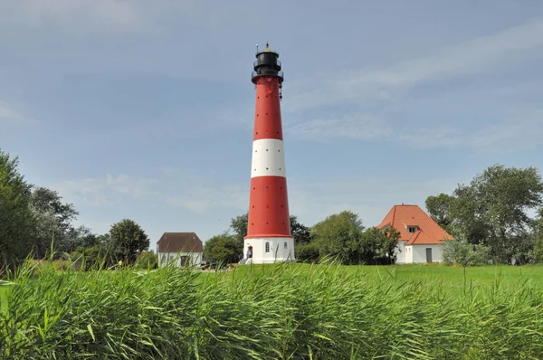 Lighthouse Pellworm Island North Sea Schleswig Holstein Architecture Landscape Meadows — Stock Photo, Image