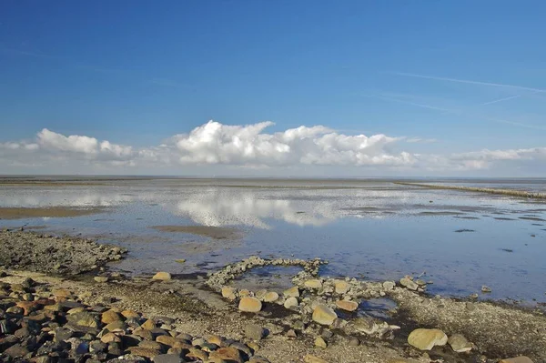 Ваттовое Море Возле Вестерхевера Шлезвиг Гольштейн — стоковое фото