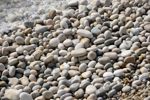 スペインの地中海での石 — ストック写真