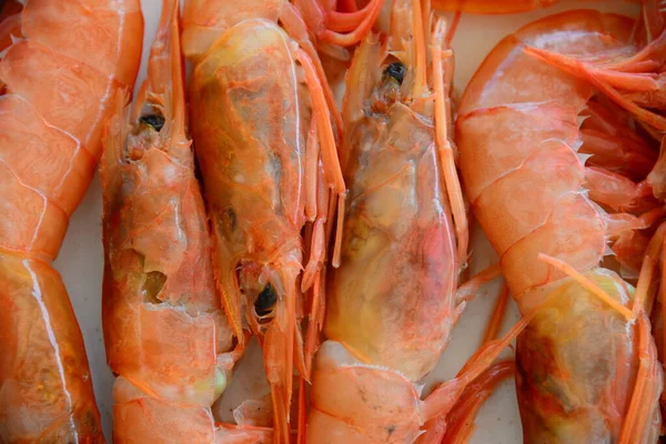 Krevety Mořské Plody Gurmánská Kuchyně — Stock fotografie