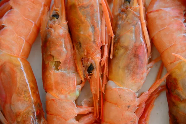 Krevety Mořské Plody Gurmánská Kuchyně — Stock fotografie