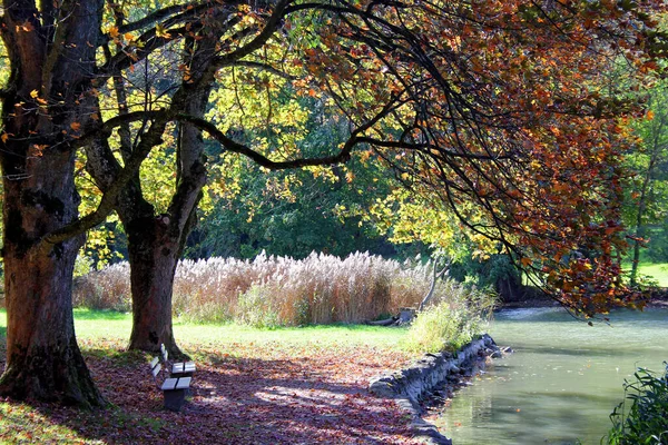 Herbst Park — Stockfoto