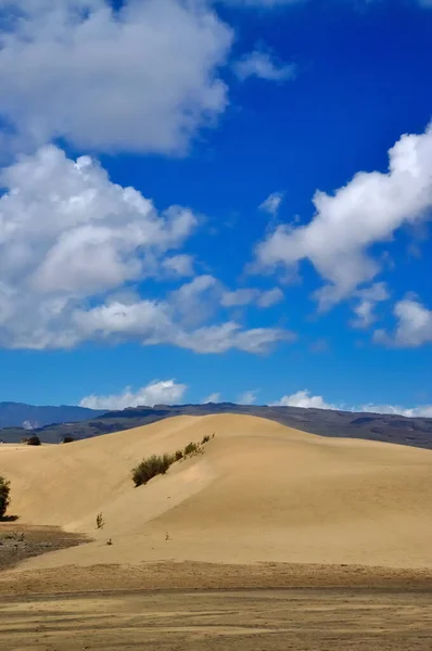 Sanddüne Düne Sand Wüste Maspalomas Gran Canaria Kanarische Inseln Spanien — Stockfoto