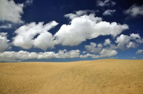 Sanddüne Düne Sand Wüste Maspalomas Gran Canaria Kanarische Inseln Spanien — Stockfoto