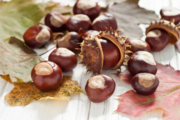 Decorazione Autunnale Con Castagne Foglie — Foto Stock