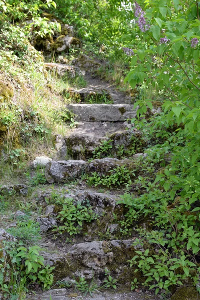 Παλιά Σκαλοπάτια Σκάλες Σκαλοπάτια Σκαλοπάτια Γραφικά Υπαίθριο Φυσικός — Φωτογραφία Αρχείου