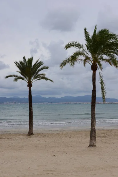 Spiaggia Unica Palma Mallorca Spagna — Foto Stock