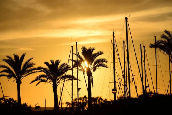 Sunset Sobre Puerto Palma Mallorca Arenal España — Foto de Stock