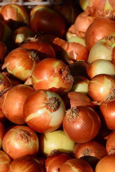 Espanha Mercado Semanal Fresco Frutos Vegetais Malorca Oniões — Fotografia de Stock