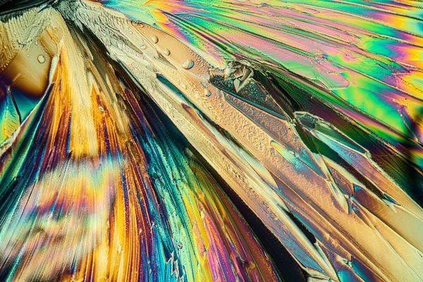 Κρύσταλλοι Πολωμένο Φως Μικροσκοπική Κυτταρική Υφή — Φωτογραφία Αρχείου