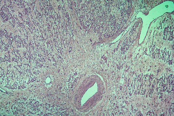 Mikrobiologia Powierzchnia Komórek Mikroskopowych — Zdjęcie stockowe