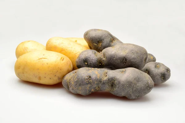 Odmiany Ziemniaka Lekkiego Ciemnego — Zdjęcie stockowe