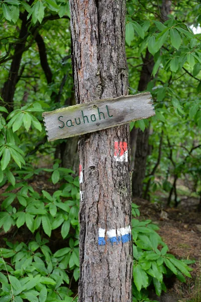 sauhohl,hiking marker,marking,sign,pfalz,south palatinate,tree,hiking trail,hiking sign