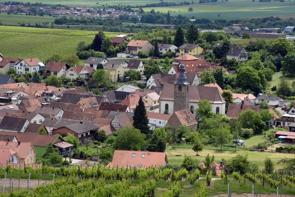 Viñedo Pfalz Weinberge Vino Vid Vid Agricultura Verano Pleisweiler Oberhofen — Foto de Stock