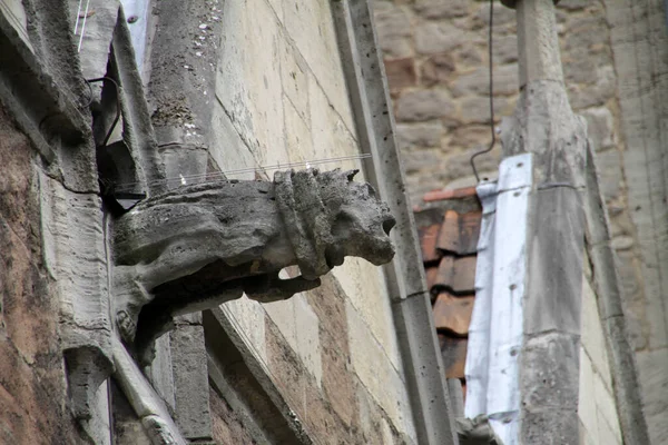Gargoyles Στον Καθεδρικό Ναό Brunswick — Φωτογραφία Αρχείου