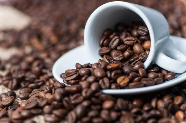 Bitte Einen Kaffee Trinken — Stockfoto