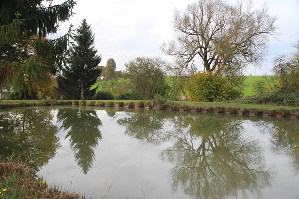 Utsikt Över Floden Parken — Stockfoto