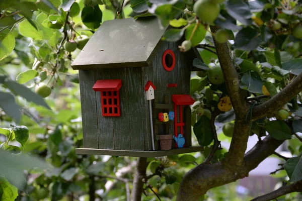 Caixa Nidificação Casa Aves Casa Pássaros Macieira Árvore Colorido Casa — Fotografia de Stock