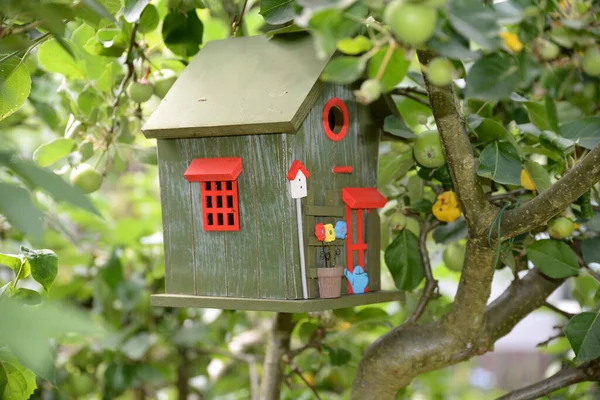 Caixa Nidificação Casa Aves Casa Pássaros Macieira Árvore Colorido Casa — Fotografia de Stock