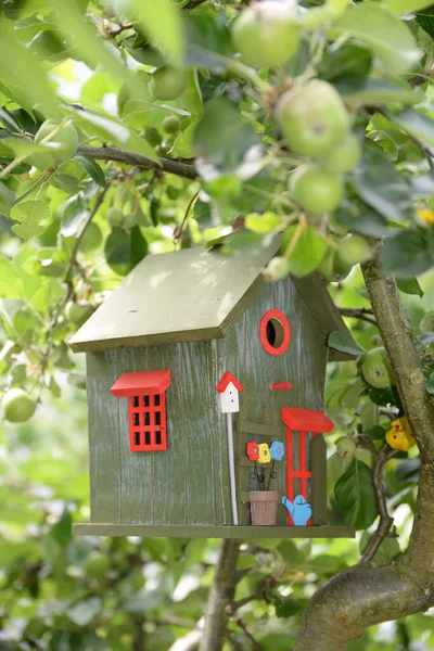 Nesting Box Bird House Bird House Apple Tree Tree Colorful — стоковое фото