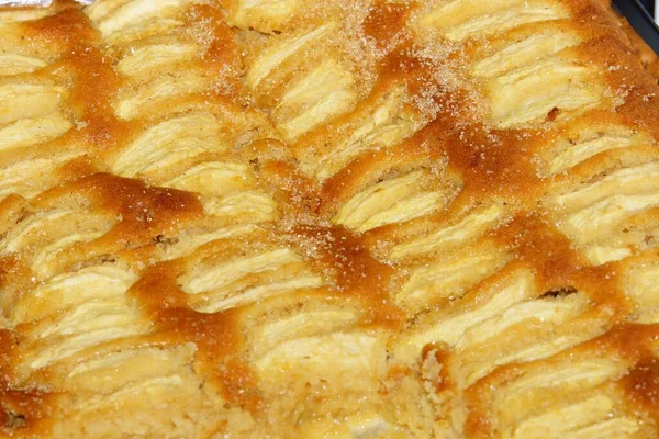 Freshly Baked Traditional Italian Bread — Stock Photo, Image