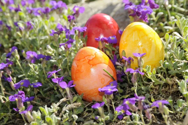 Easter Eggs Easter Egg Egg Easter Easter Easter Blue Pillow — Stock Photo, Image