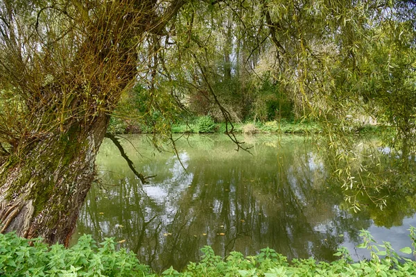 Utsikt Över Hartsee Övre Bayern — Stockfoto