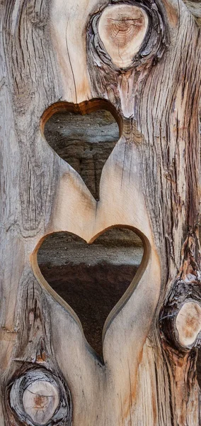 Zwei Herzen Holz Geschnitten — Stockfoto