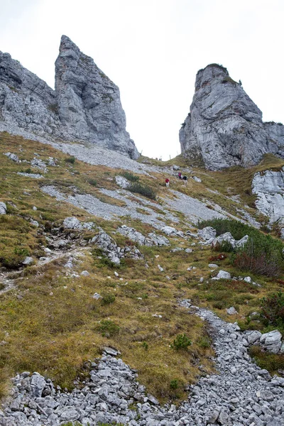 Blick Auf Die Alpen Die Höchsten Und Weitläufigsten Berge — Stockfoto
