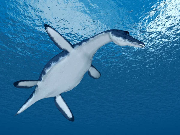 Компьютерная Иллюстрация Доисторической Морской Рептилией Dolichorhynchops — стоковое фото