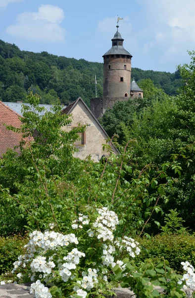 Schloss Brresheim Johann Rhineland Palatinate Almanya — Stok fotoğraf