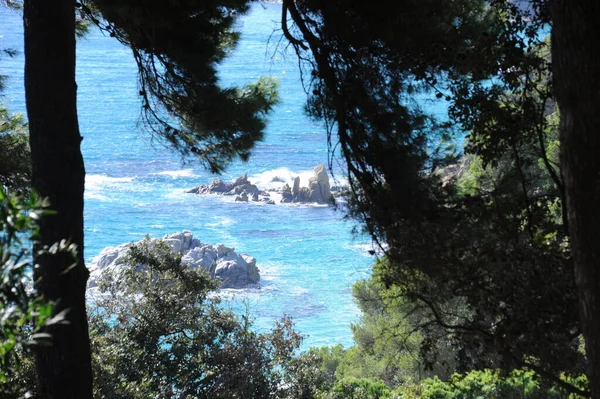 Spanien Sea Lloret Costa Brava Botanischer Garten Clotilde Ume Statuen — стоковое фото